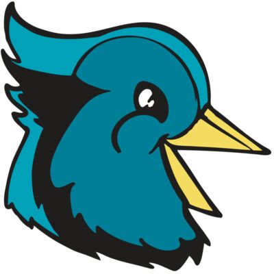 BAW BLUEJAY 11 RC Thumbnail