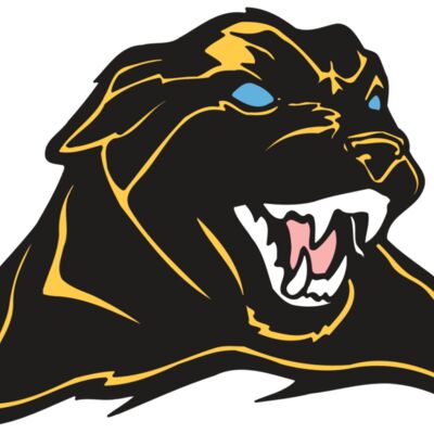 AR COUGAR 42 RC Thumbnail