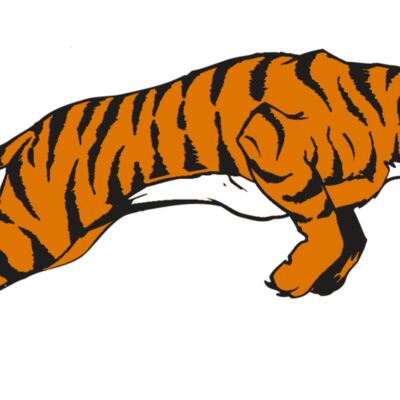 AR TIGER 79 RC Thumbnail