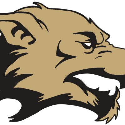 AR5 Wolf 12 RQC Thumbnail