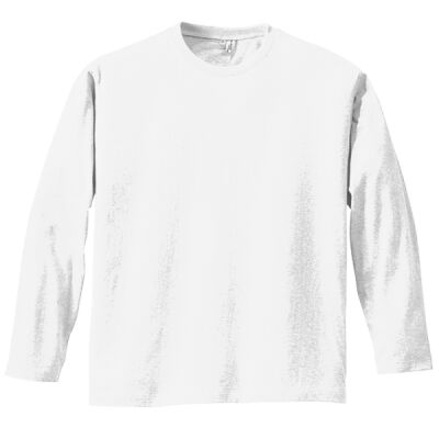 Mens Perfect Weight ® Long Sleeve Tee Thumbnail