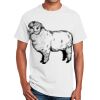 Ultra Cotton™ 100% Cotton T Shirt Thumbnail