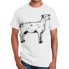 Ultra Cotton™ 100% Cotton T Shirt Thumbnail