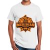 Ultra Cotton™ 100% Cotton T Shirt Thumbnail