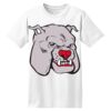 ComfortSoft® Heavyweight 100% Cotton T Shirt Thumbnail