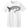 ComfortSoft® Heavyweight 100% Cotton T Shirt Thumbnail