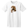 ComfortSoft® Heavyweight 100% Cotton T Shirt Thumbnail