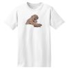ComfortSoft® Heavyweight 100% Cotton T Shirt Thumbnail