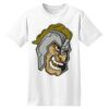 ComfortSoft® Heavyweight 100% Cotton T Shirt Thumbnail