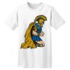 ComfortSoft® Heavyweight 100% Cotton T Shirt Thumbnail