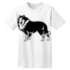 ComfortSoft® Heavyweight 100% Cotton T Shirt Thumbnail