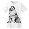 ComfortSoft® Heavyweight 100% Cotton T Shirt Thumbnail