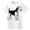 ComfortSoft® Heavyweight 100% Cotton T Shirt Thumbnail