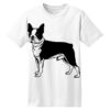 ComfortSoft® Heavyweight 100% Cotton T Shirt Thumbnail