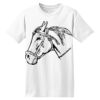 ComfortSoft® Heavyweight 100% Cotton T Shirt Thumbnail