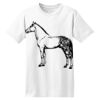 ComfortSoft® Heavyweight 100% Cotton T Shirt Thumbnail