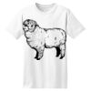 ComfortSoft® Heavyweight 100% Cotton T Shirt Thumbnail