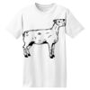 ComfortSoft® Heavyweight 100% Cotton T Shirt Thumbnail