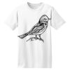 ComfortSoft® Heavyweight 100% Cotton T Shirt Thumbnail