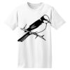ComfortSoft® Heavyweight 100% Cotton T Shirt Thumbnail
