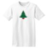 ComfortSoft® Heavyweight 100% Cotton T Shirt Thumbnail