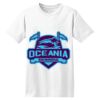ComfortSoft® Heavyweight 100% Cotton T Shirt Thumbnail