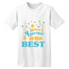 ComfortSoft® Heavyweight 100% Cotton T Shirt Thumbnail