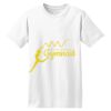 ComfortSoft® Heavyweight 100% Cotton T Shirt Thumbnail