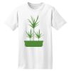 ComfortSoft® Heavyweight 100% Cotton T Shirt Thumbnail