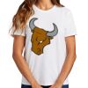 Ladies Essential T Shirt Thumbnail