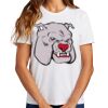 Ladies Essential T Shirt Thumbnail