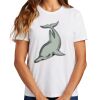 Ladies Essential T Shirt Thumbnail