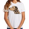 Ladies Essential T Shirt Thumbnail