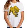 Ladies Essential T Shirt Thumbnail