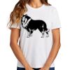 Ladies Essential T Shirt Thumbnail
