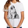 Ladies Essential T Shirt Thumbnail