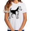 Ladies Essential T Shirt Thumbnail