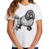 Ladies Essential T Shirt Thumbnail