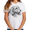 Ladies Essential T Shirt Thumbnail