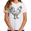 Ladies Essential T Shirt Thumbnail