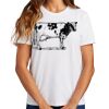 Ladies Essential T Shirt Thumbnail
