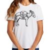Ladies Essential T Shirt Thumbnail
