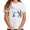 Ladies Essential T Shirt Thumbnail