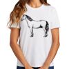 Ladies Essential T Shirt Thumbnail