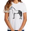 Ladies Essential T Shirt Thumbnail
