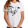 Ladies Essential T Shirt Thumbnail
