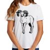 Ladies Essential T Shirt Thumbnail