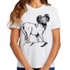 Ladies Essential T Shirt Thumbnail