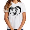 Ladies Essential T Shirt Thumbnail