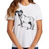 Ladies Essential T Shirt Thumbnail